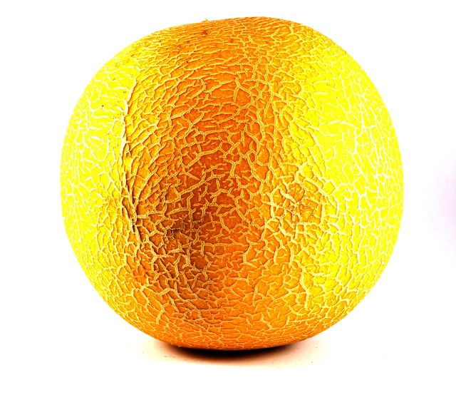 Galia Melon 498749 640