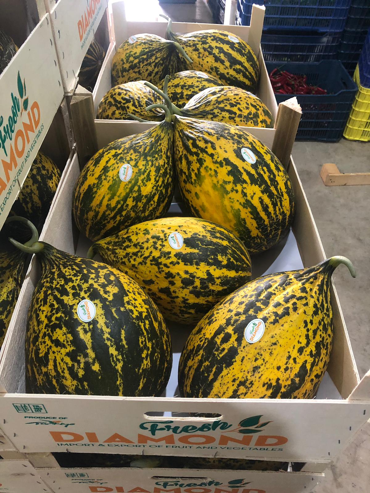 22-06-2020 Kirkagac meloen