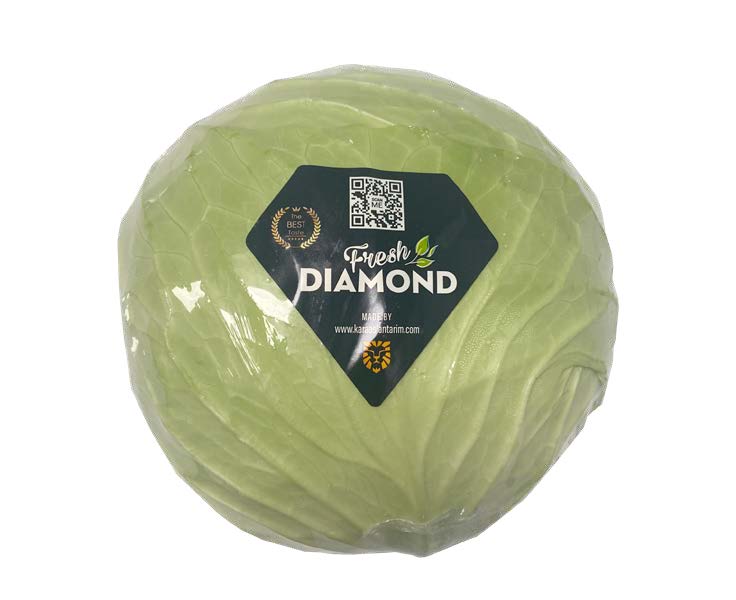 Oxheart cabbage